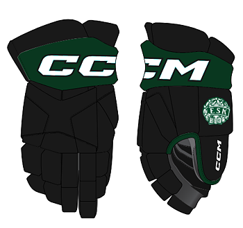 CCM HG ESK Custom 95C SR 25/26