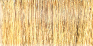 Salon in a Bottle Powder Blond 3,5g - 2
