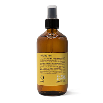 Oway Styling Molding Mist 240ml