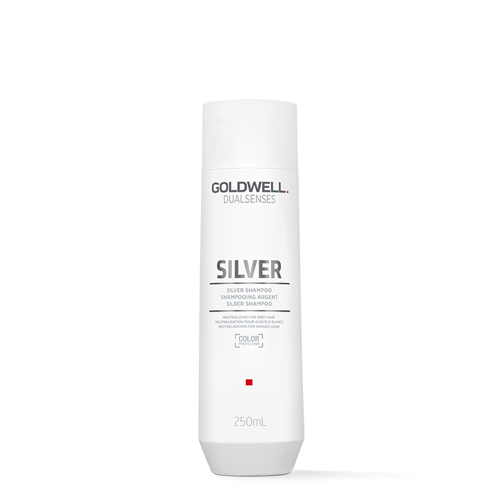 Goldwell dualsenses Silver Schampo 250ml