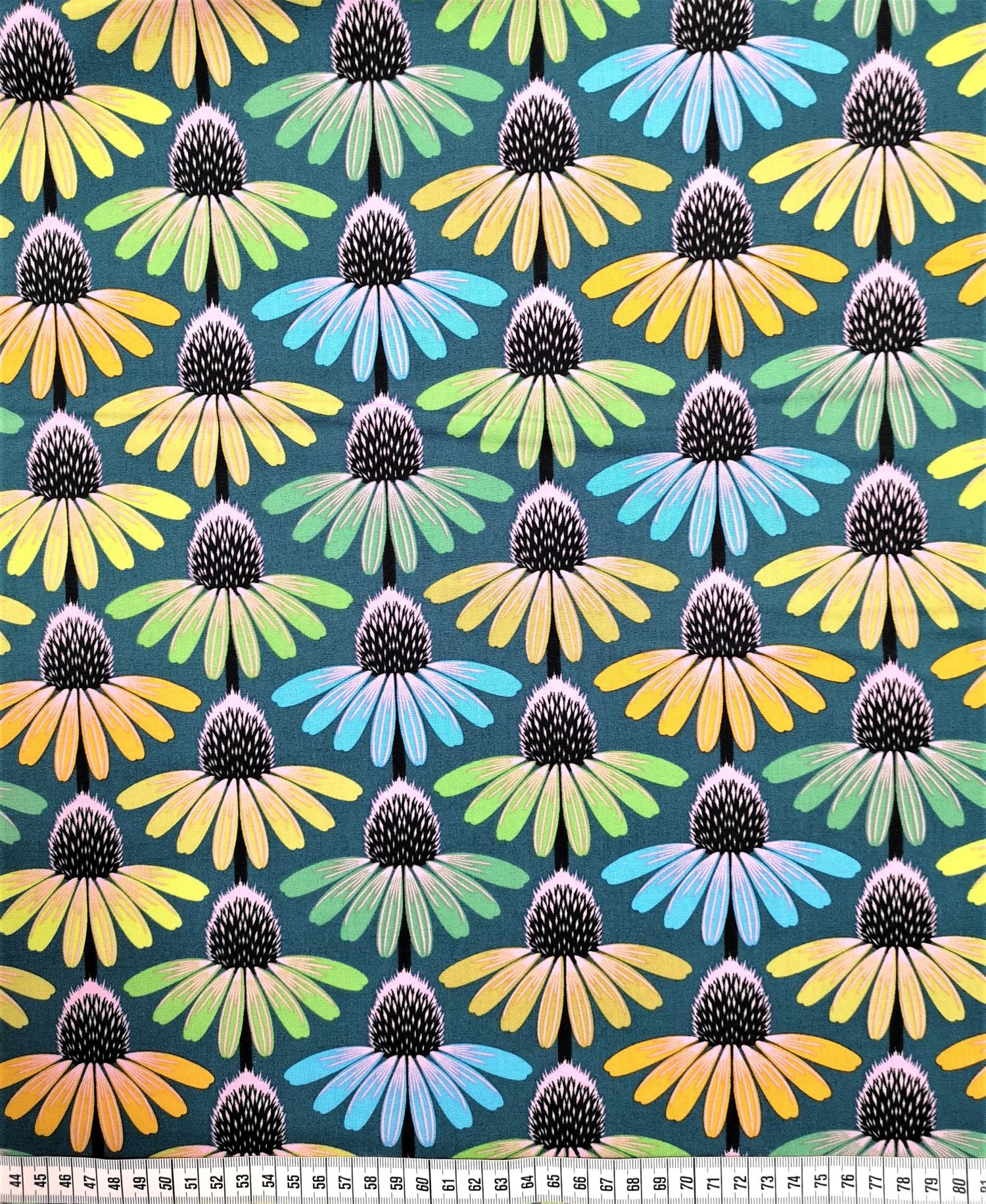 Enchinacea Glow - Algae