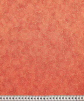 Fusions Collection - Coral