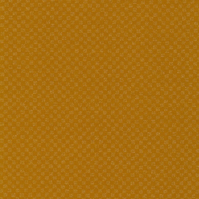 Languid - Roasted pecan
