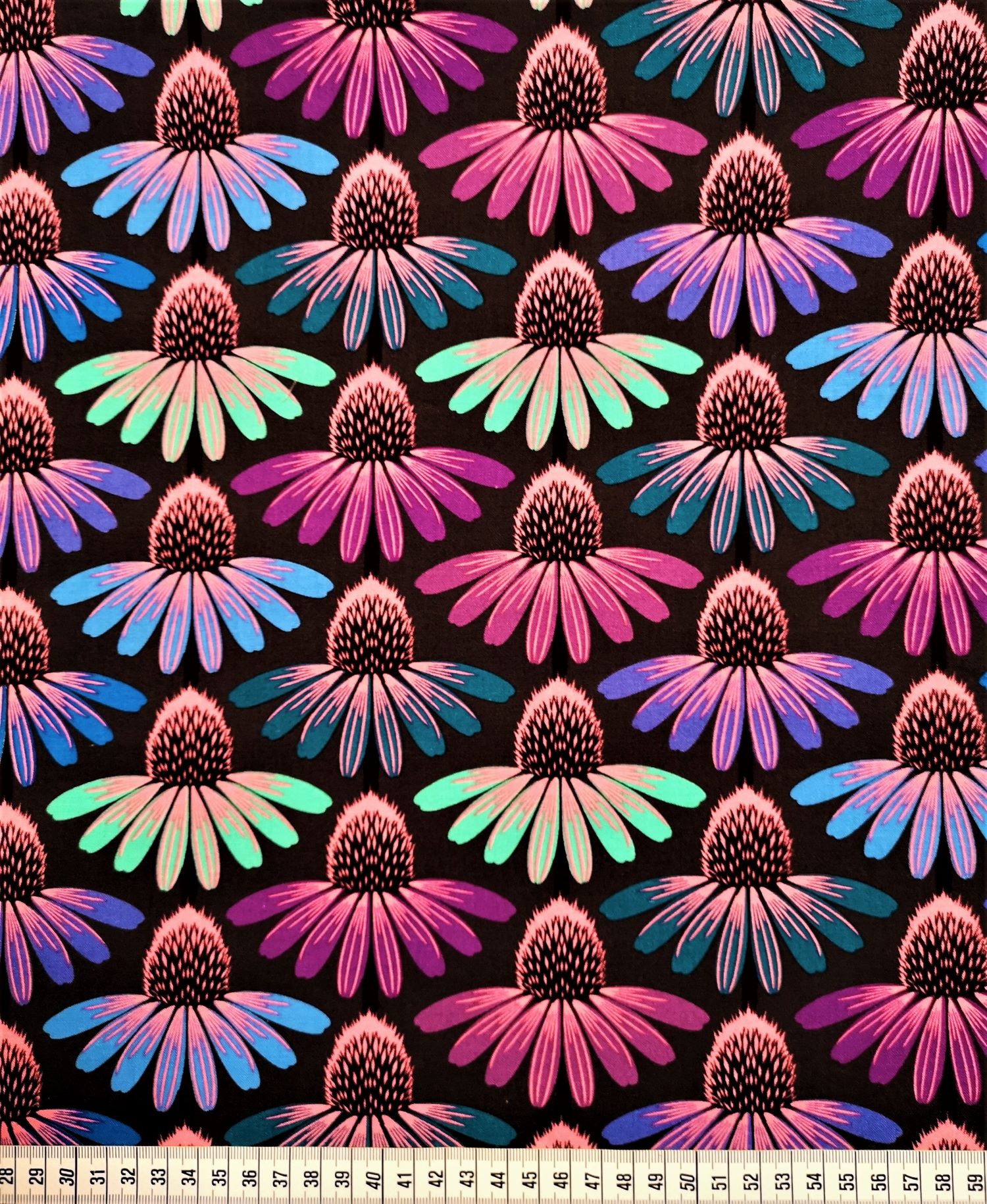 Echinacea Glow - Amethyst