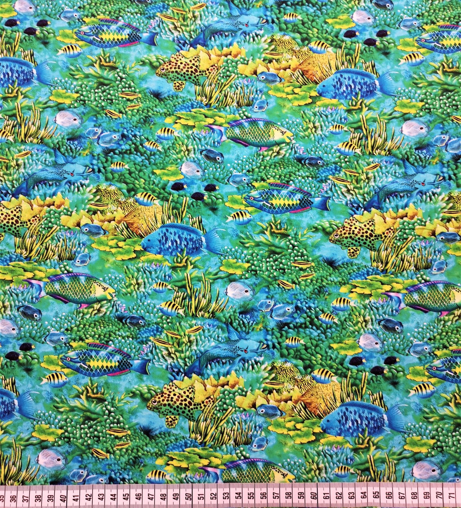 Coral Canyon - Pond