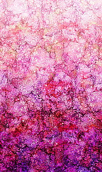 Dragonfly Dreams - Bliss Ombre