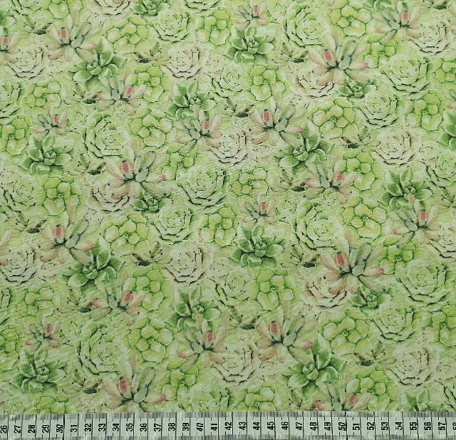 Humming Along -  Succulenter, gröna