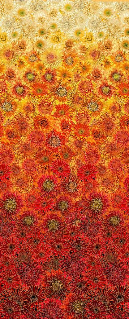 Harvest Autumn - Fall is in the air