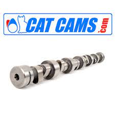 CatCams