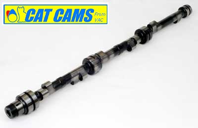 CatCams