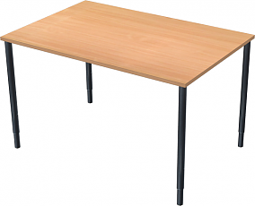 LD Skrivbord Rektangulära 