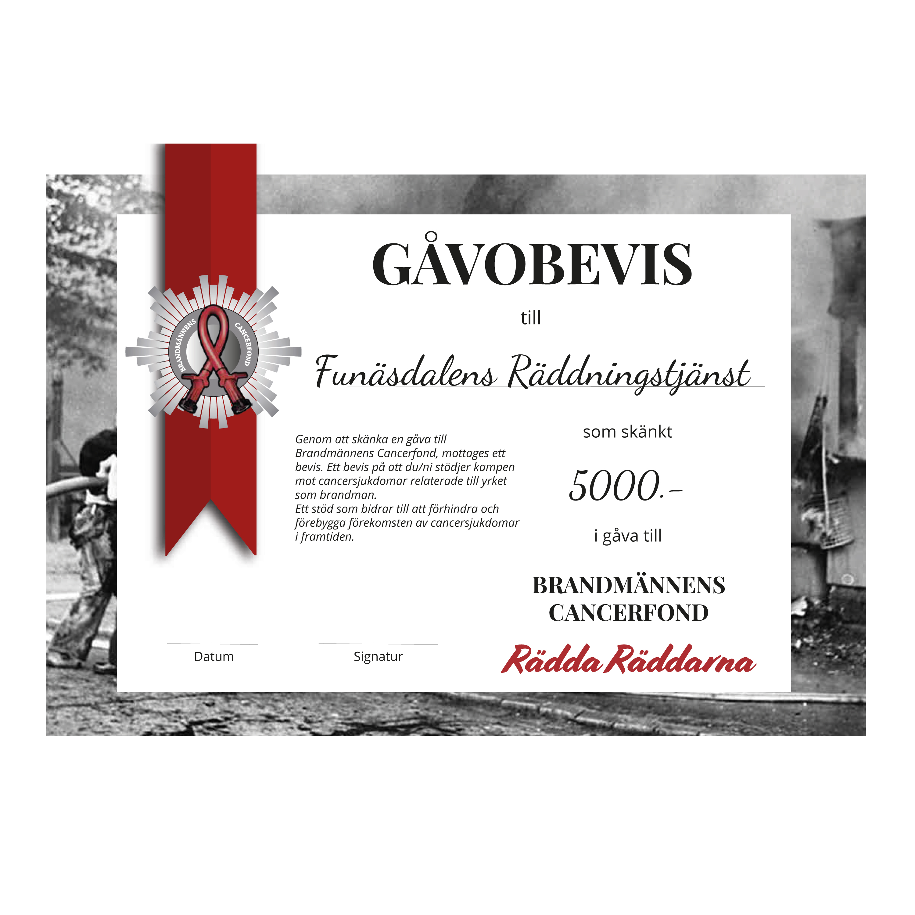 Gåvobevis - Formellt