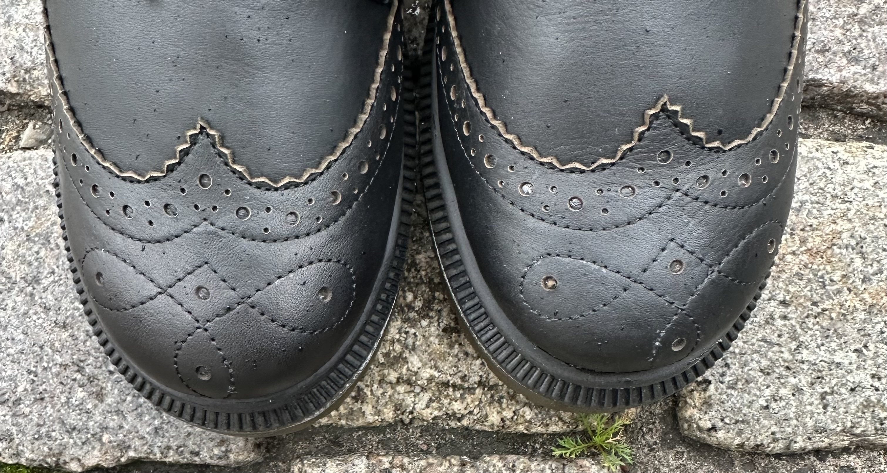 Coola snörskor med brogues från Charlotte of Sweden, petrol - 4