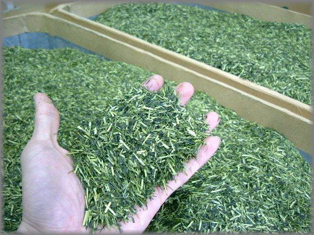 Kukicha Yame [200 g, Fukuoka] - 5