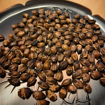 JAS Mugicha [300 g, Shiga]  
