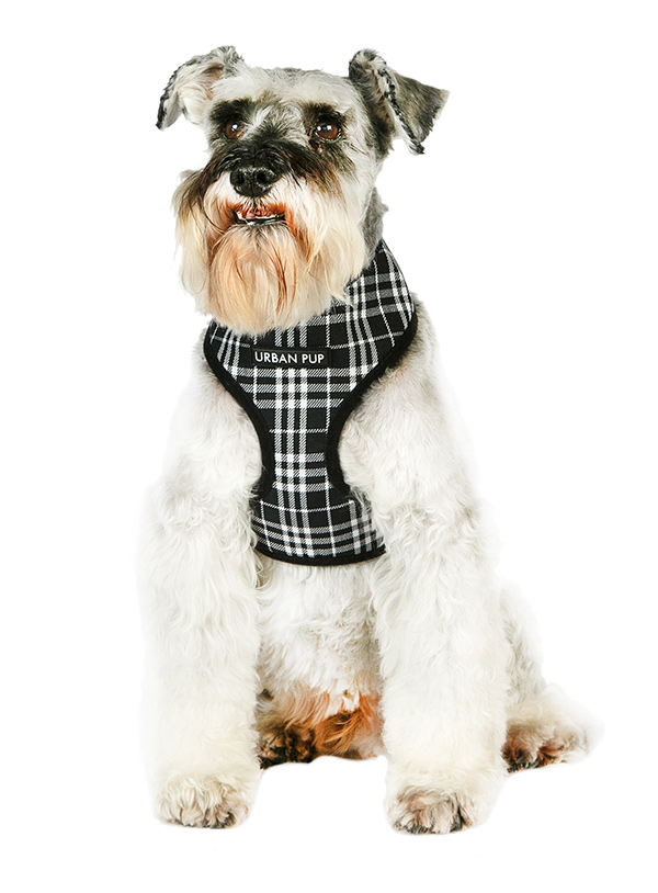 Urban Pup Black & White Tartan Sele Svart/Vit X-Large - 3