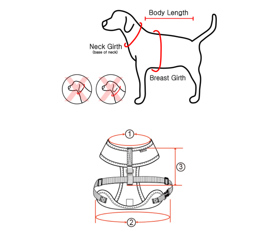 Pinkaholic Leo Pug Sele Brun - 6