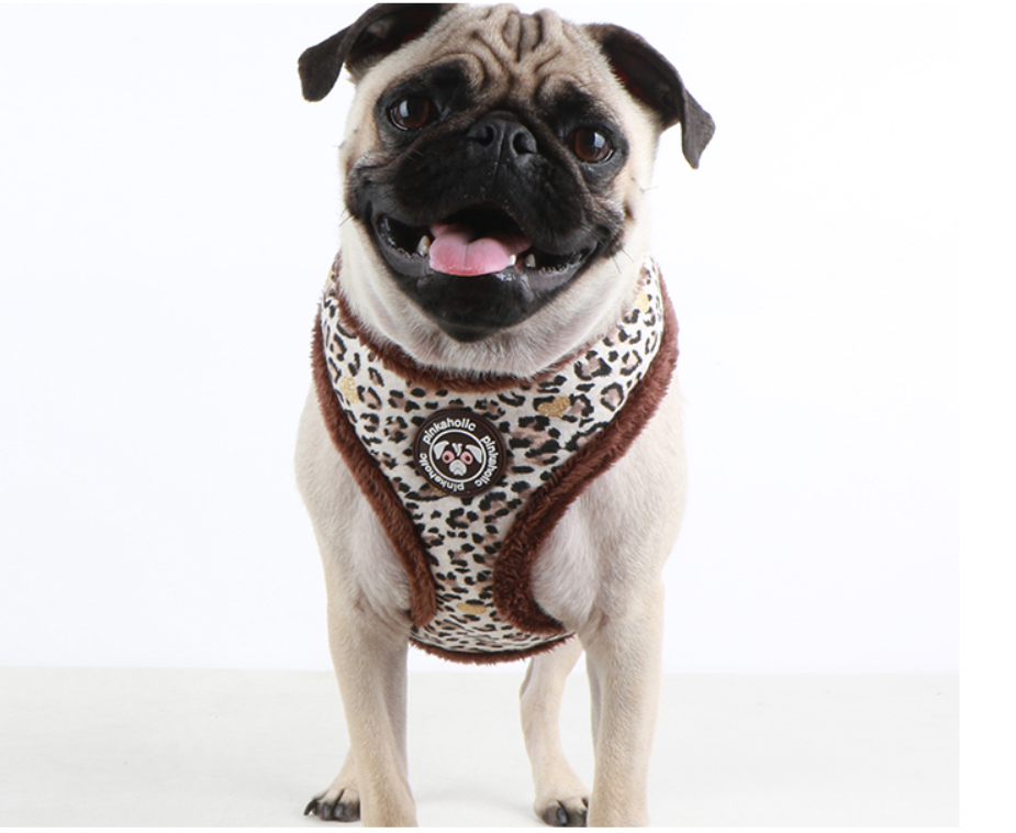 Pinkaholic Leo Pug Sele Brun - 5