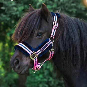 Jacson Pony Pals Grimma Marinblå/Rosa Cob
