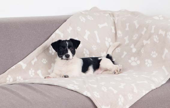 Trixie Kenny Filt Plysch 75x50cm Beige - 2