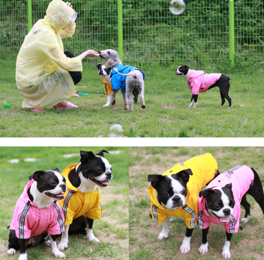 Puppia Base Jumper Regnjacka Blå - 5