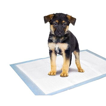 Valpdukar Som Passar Till Valpmattan 35x45cm 10-Pack
