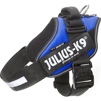 Julius-K9 IDC Sele Strl. 3 Blå 82-118 cm