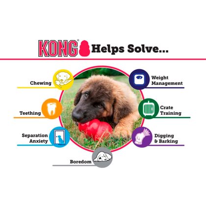 Kong Classic Röd Small - 4