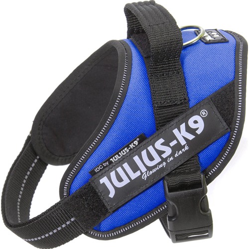 Julius-K9 IDC Sele Mini Blå 49-67 cm