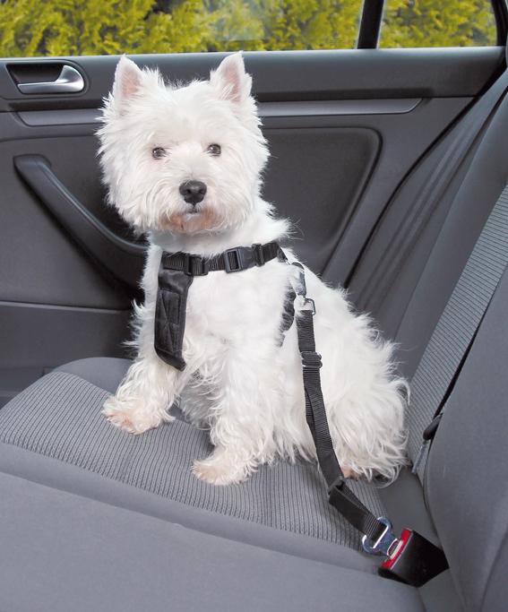 Trixie Bilsele Small 30-60cm Svart