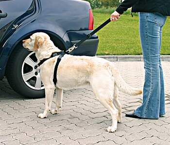 Trixie Bilsele Large 70-90cm Svart