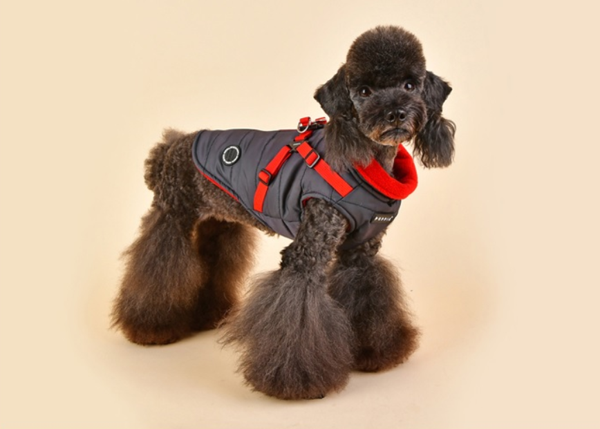 Puppia Täcke Mountaineer II Grå - 5