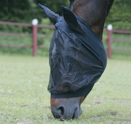 Jacson Flughuva Svart Cob