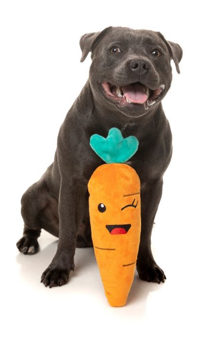 FuzzYard Hundleksak Winky Carrot 32cm - 4