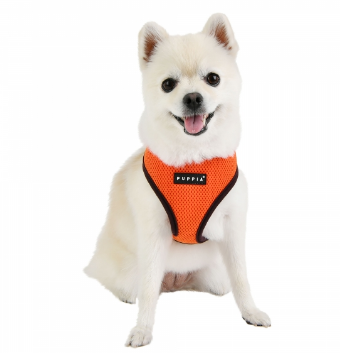 Puppia Soft Sele II Orange - 2