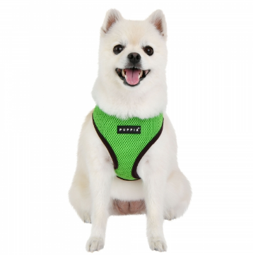 Puppia Soft Sele II Grön - 2