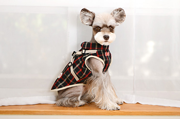 Puppia Hundtäcke Baxter Svart