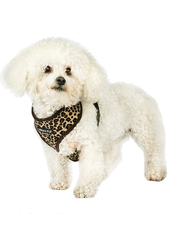 Urban Pup Leopard Print Sele Mörkbrun X-Small - 3