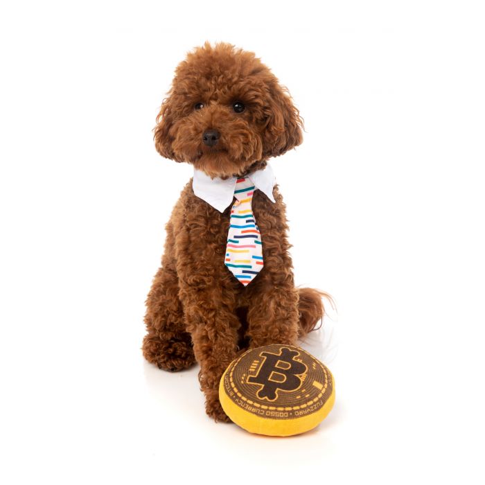 FuzzYard Hundleksak Bite Coin - 2