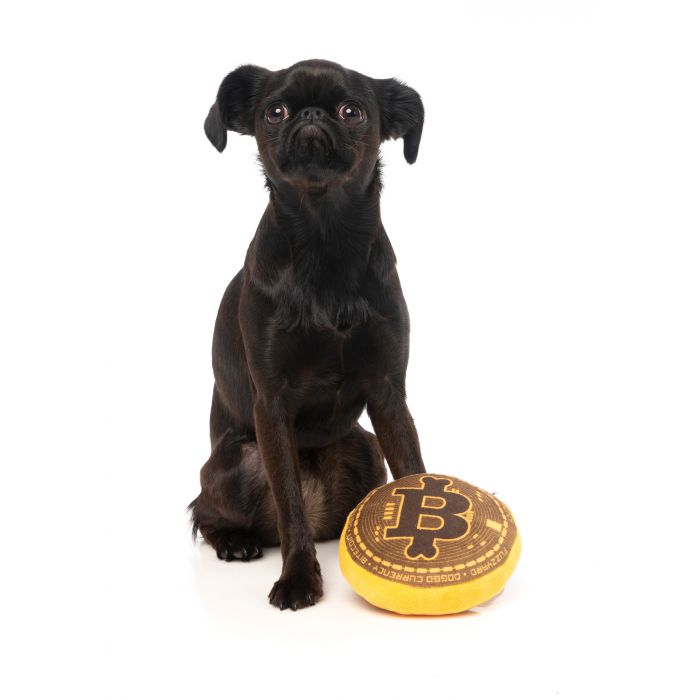 FuzzYard Hundleksak Bite Coin - 3