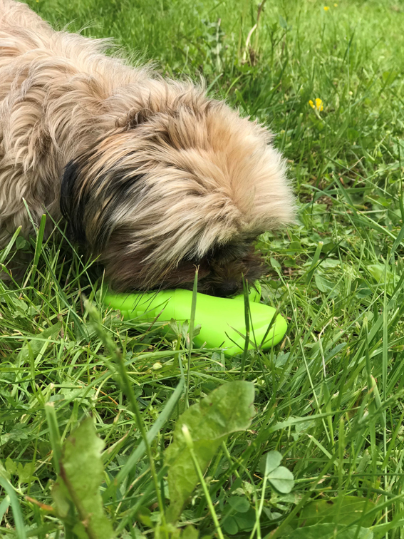 Trixie TPR Hopringlad Snacksorm Ø 18cm Grön - 4