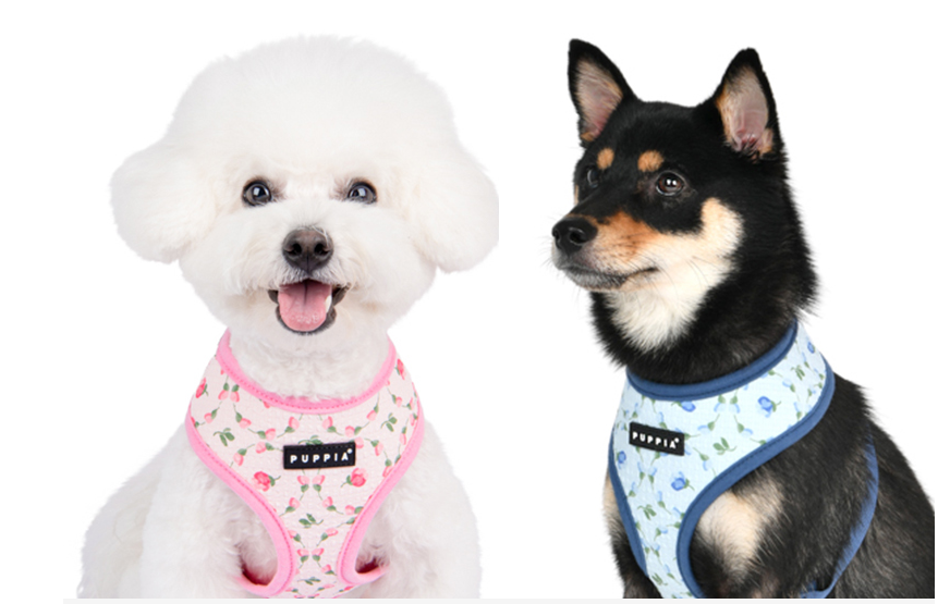 Puppia Sele Modell-A Florian Blå Small - 9