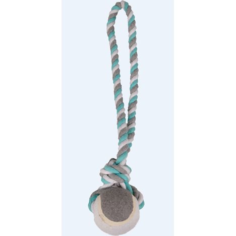 Hundleksak Tennisboll Slunga Med Mintsmak Small 6,2x12x40cm