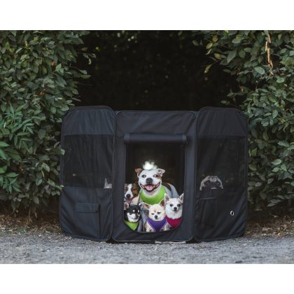 Dogman Canvashage Tintin Small Svart - 4