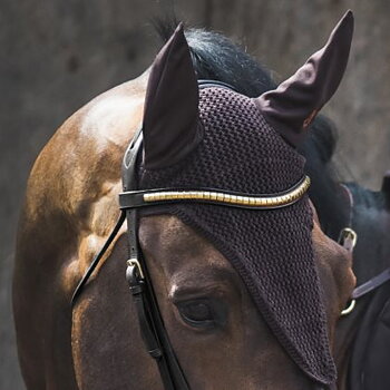 Jacson Pannband Cambridge Svart Cob