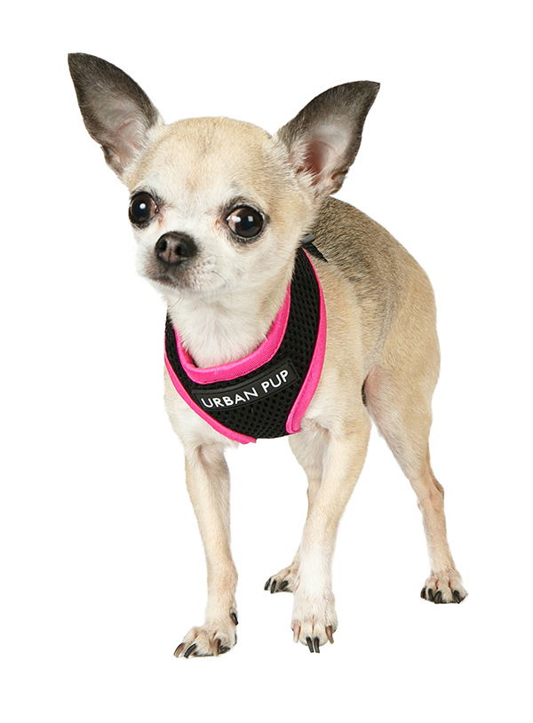 Urban Pup Active Mesh Sele Svart/Rosa  - 3