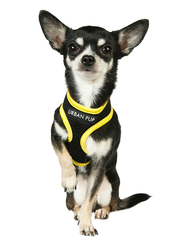 Urban Pup Active Mesh Sele Svart/Gul - 3