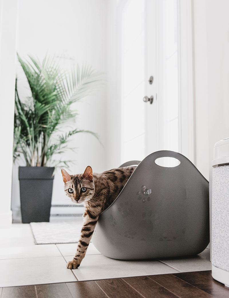 LitterBox Grå Med Skopa  - 3