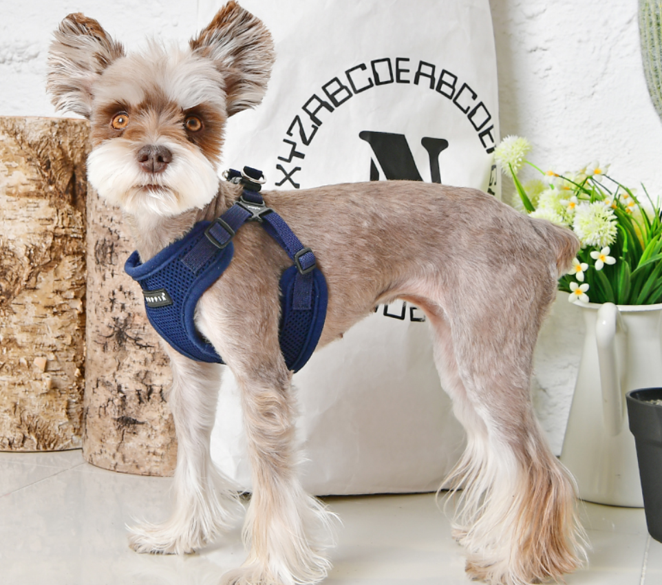 Puppia Soft Sele Modell C Röd - 5