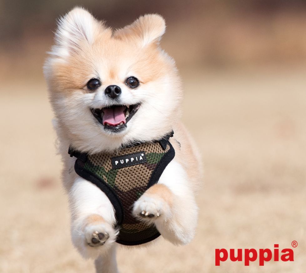 Puppia Soft Sele Modell C Röd - 3
